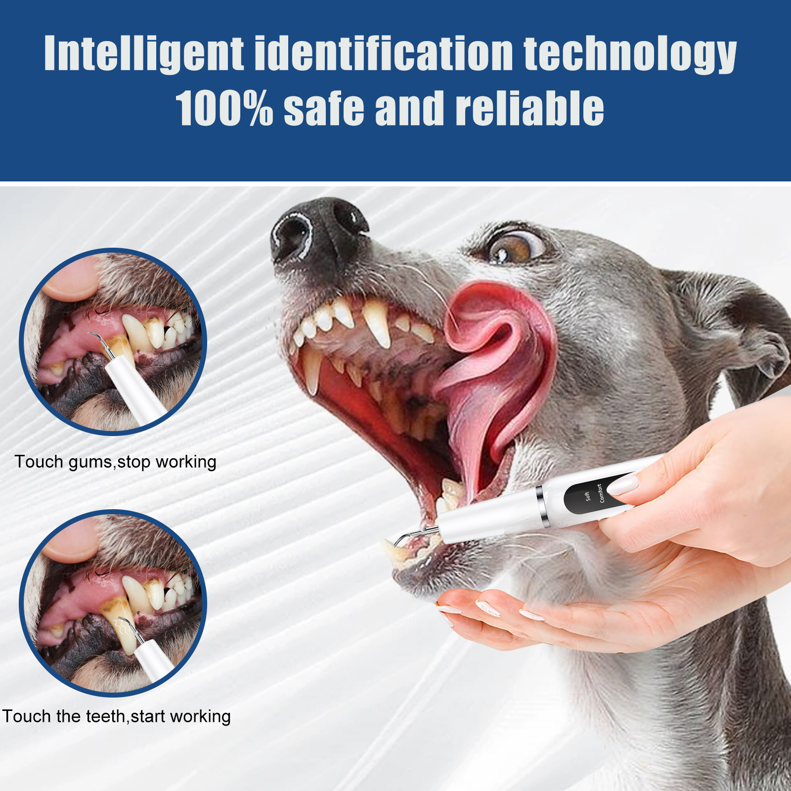 Black Professional Pet Dental Cleaning Kit - Ultrasonic Scaler, Tools & 3 Modes — image 2
