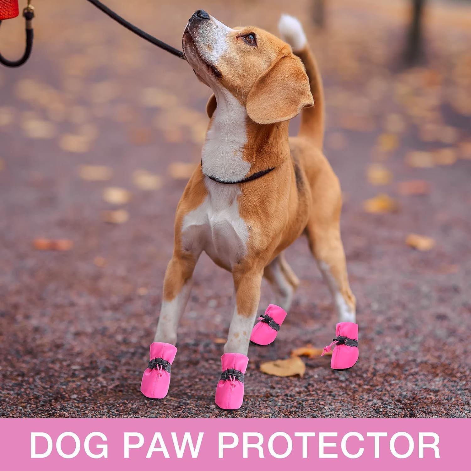 Anti-Slip Sole Dog Boots Paw Protector Dog Booties with Reflective Straps,4Pcs Dog Boots Anti-Slip Paw Protectors,Non-Slip Small Dog Boots,Anti Slip Paw — image 4