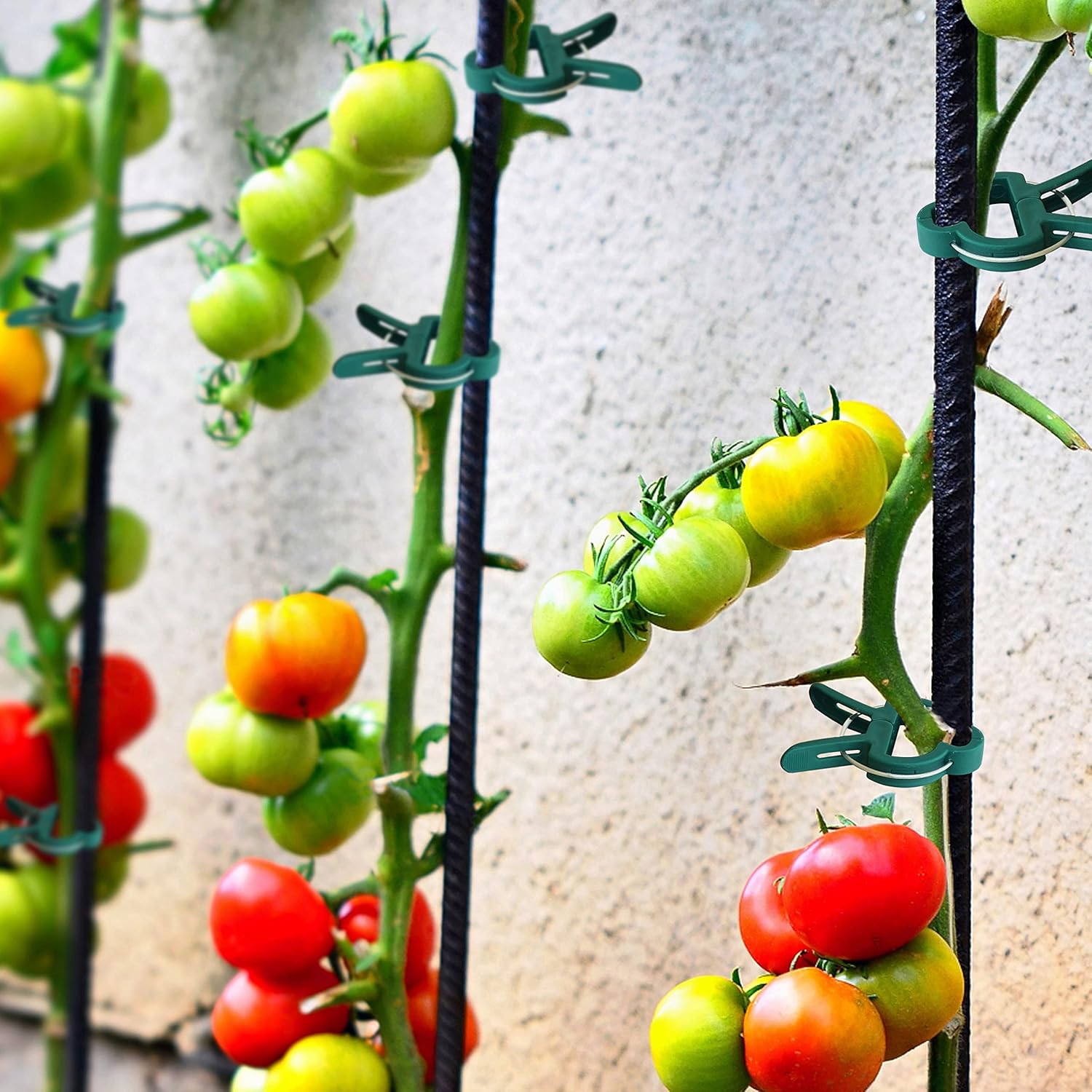 48 Pcs Garden Plant Clips, Plant Support Clips for Securing Stems, Flowers or Climbing Vines to Tomato Cages, Trellis โ image 6