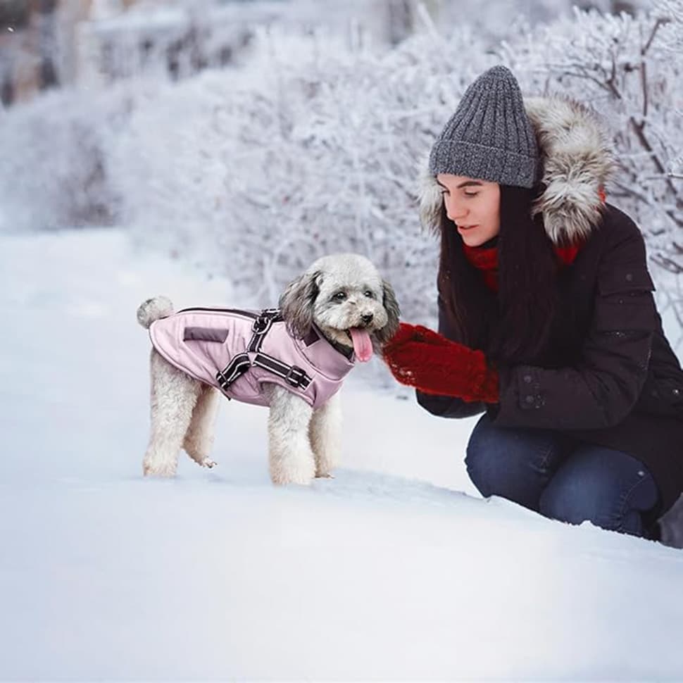 Warm Soft Winter Dog Vest with Stand Collar, Wind and Waterproof, Multiple Colors, Pink, S to XL — image 5