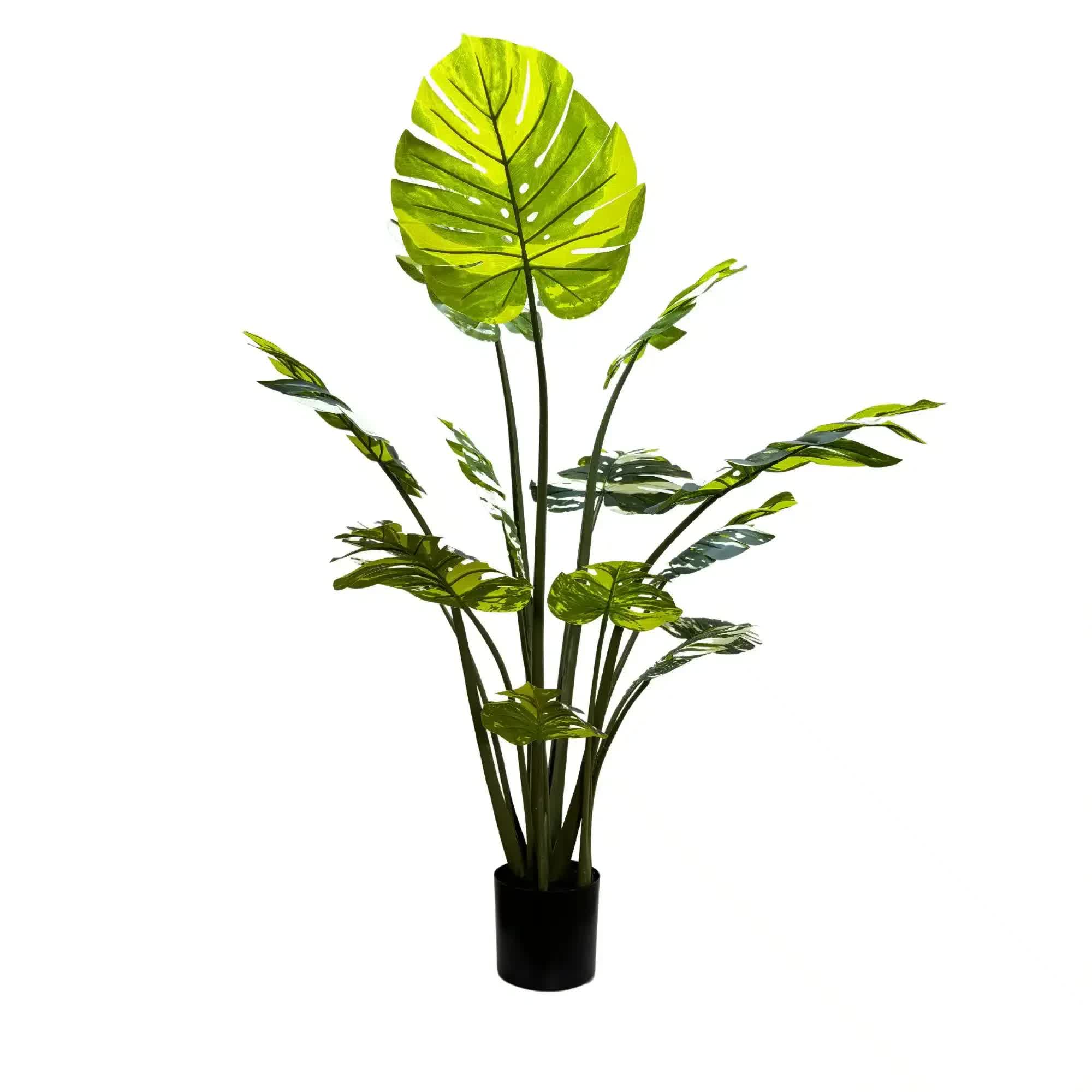 Premium Artificial Potted Monstera Albo 150cm โ image 4