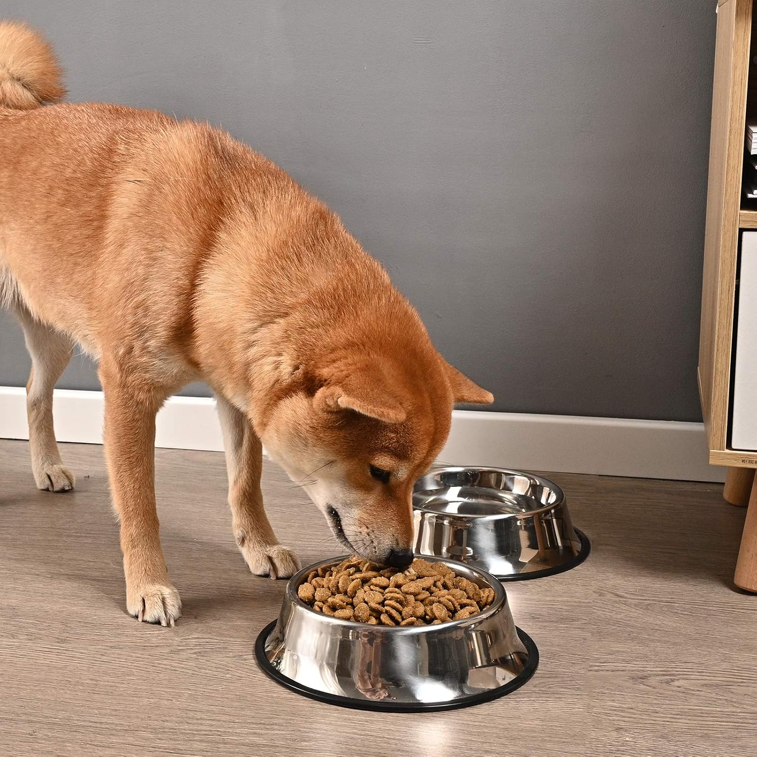 2Packs Stainless Steel Dog Bowl with Anti-Skid Rubber Base for Small/Medium/Large Pet, Pets Feeder Bowl and Water Bowl Perfect Choice for Dog Pupp โ image 6