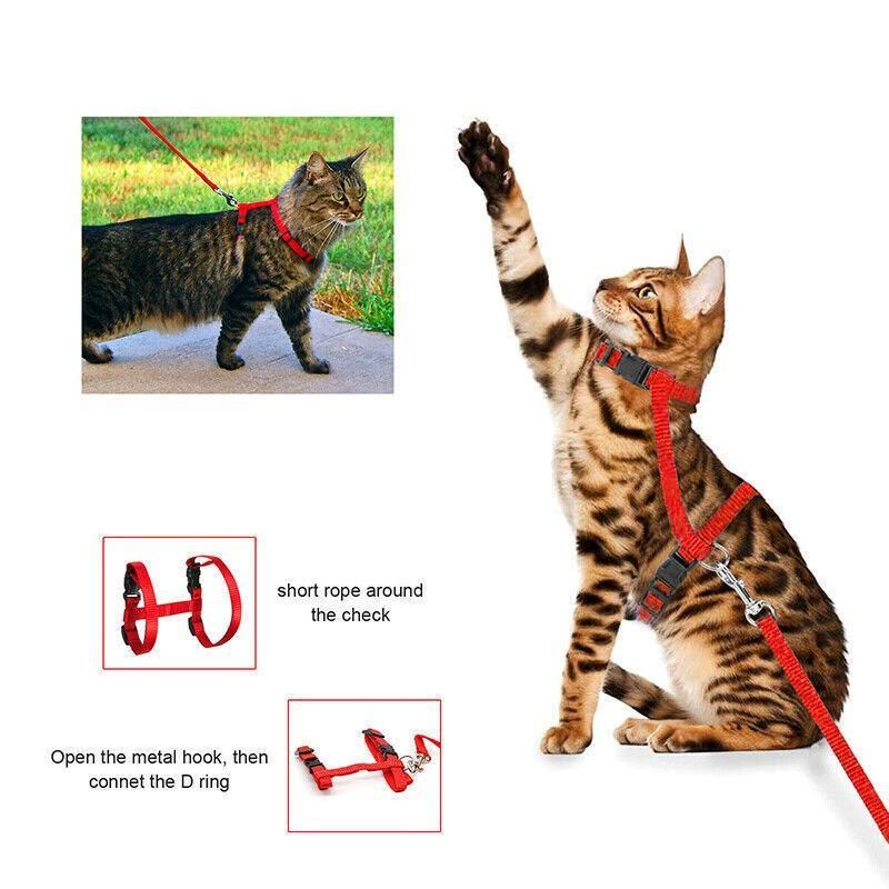 Nylon Cat Harness and Lead Set Adjustable Strap for Outdoor Walks - Blue — image 6