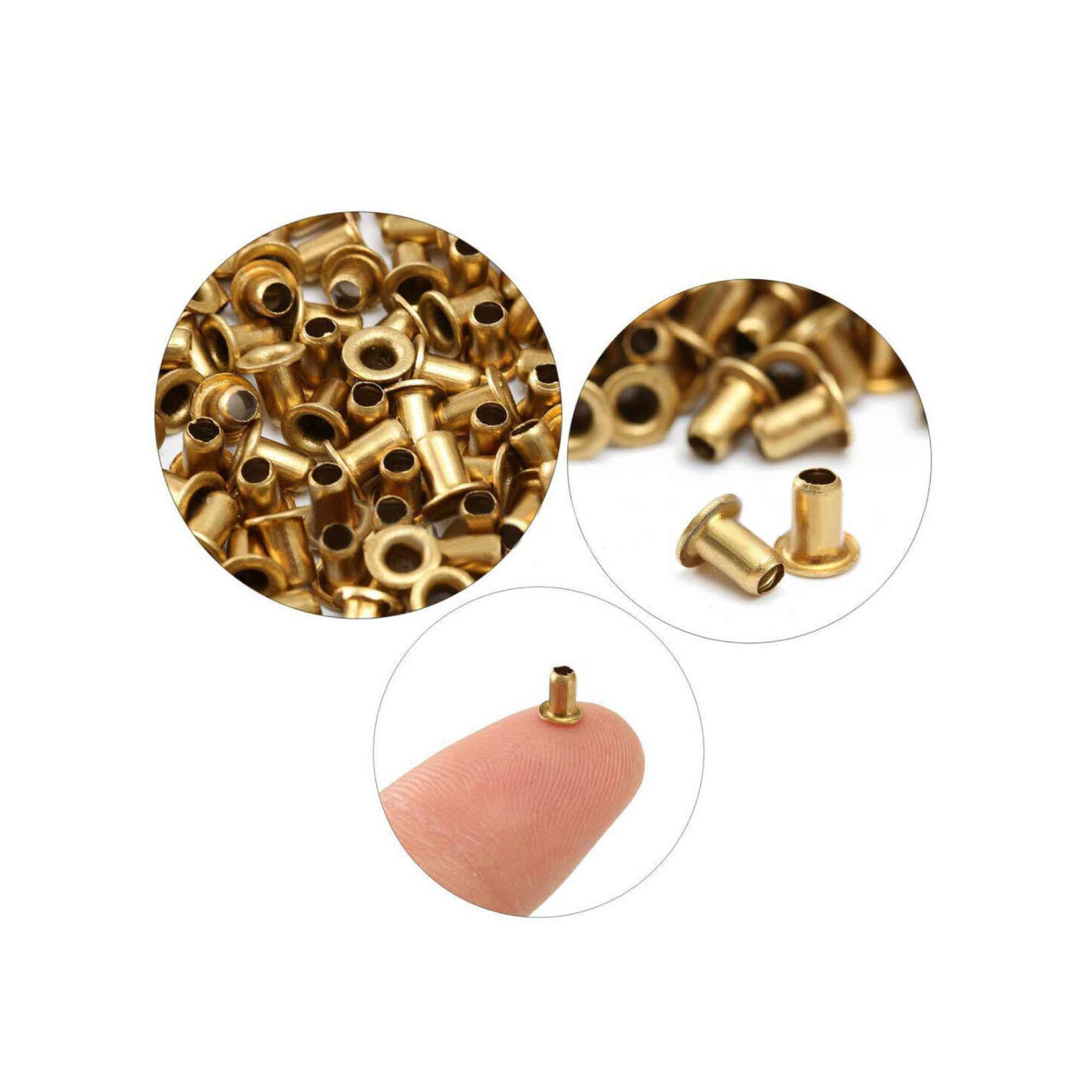 1000 Bee Frame Eyelets Brass Fittings Bee Hive Beehive Beekeeping Beekeeper Tool โ image 4