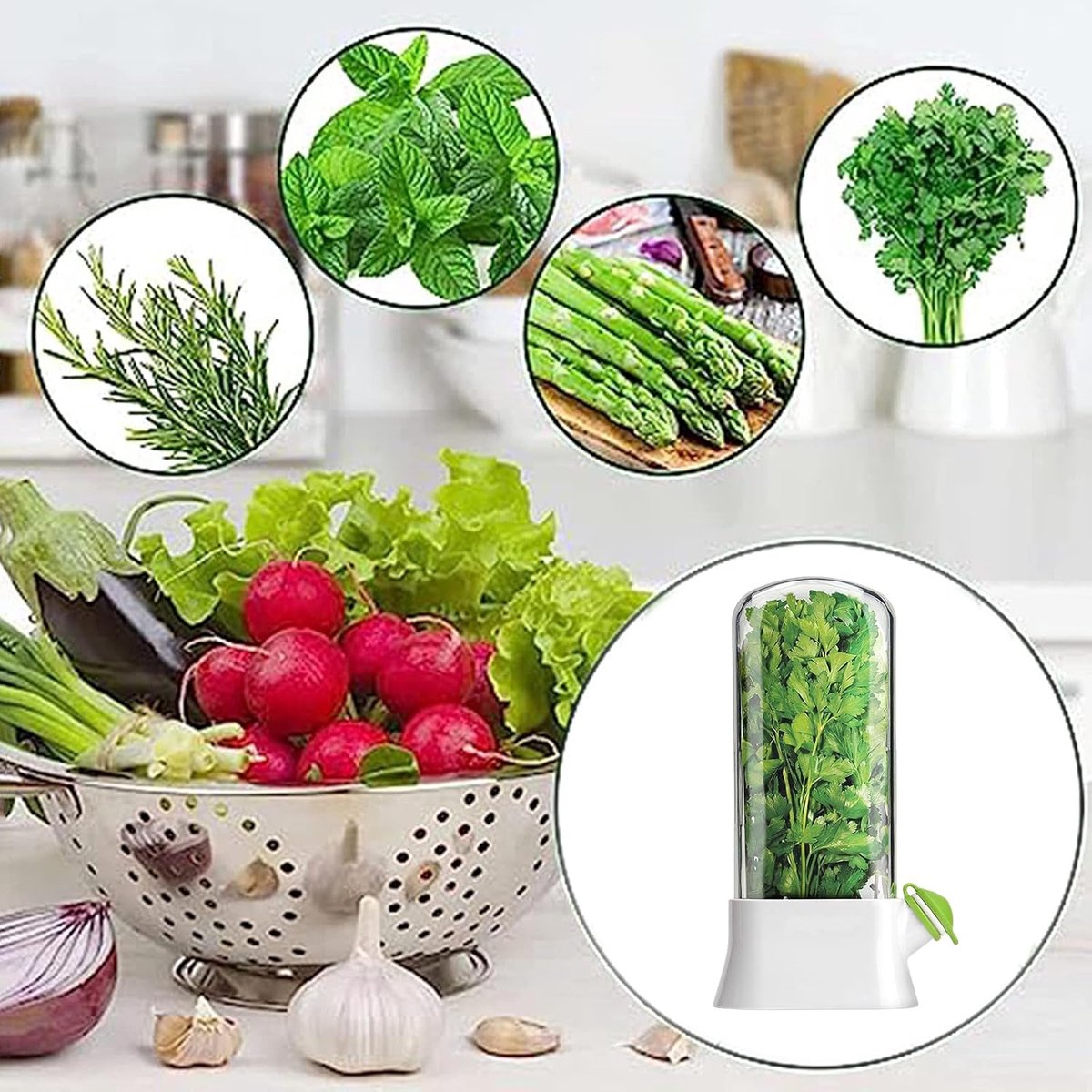 Herb Container - Herbs - Herb Jars - Fresh Keeper - Herb Vanilla Storage Container - BPA-Free - Keep Fresh - Coriander, Asparagus, Parsley and Mint - Free Herb — image 4