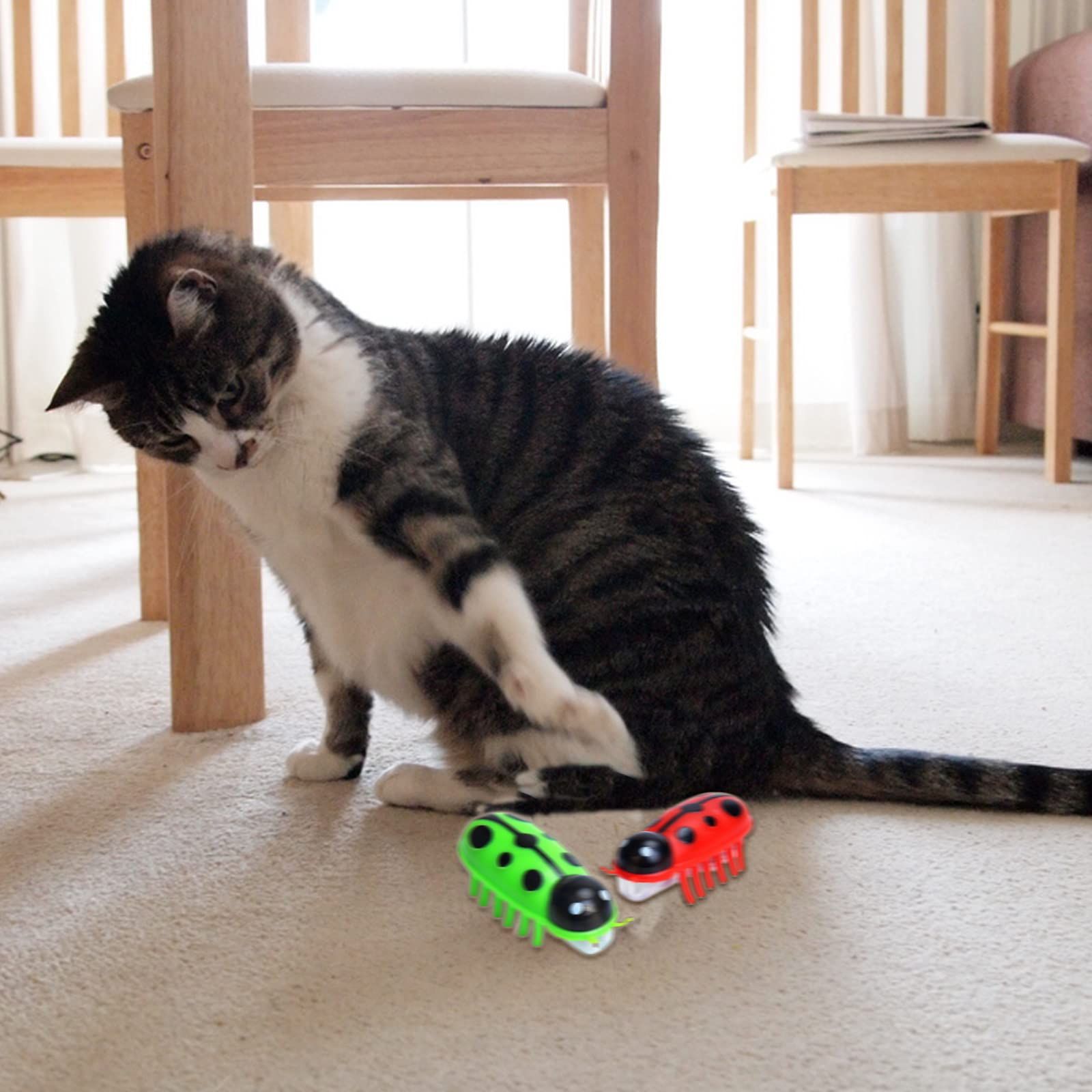 4pcsElectric Robot Beetle Cat Toy, Interactive Mini Cat Toy Excites & Entices Cats Cuddling Chasing Fun Realistic Beetle Vibrating โ image 5