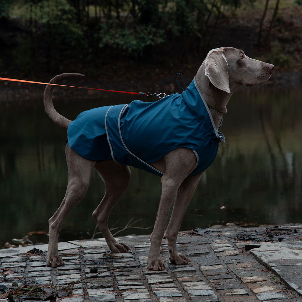 75# Blue Waterproof Reflective Dog Raincoat for Small to Large Dogs