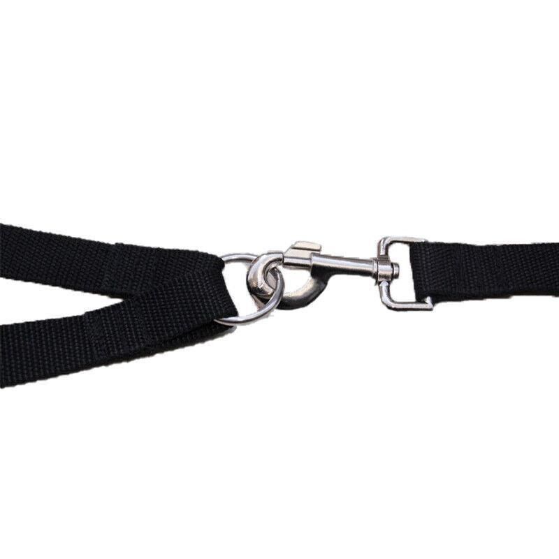 2 Way Double Dual Dog Leash Walk 2 Dogs With One Lead Coupler Nylon Harness - Blue โ image 6
