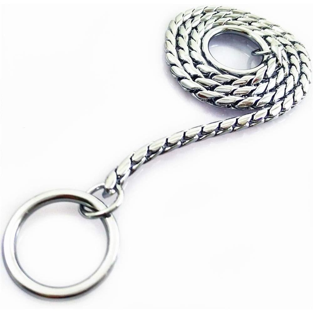 Dog P snake chain titanium steel metal dog training plug/collar is recommended for professional training (silver 4.5 * 45cm) — image 3