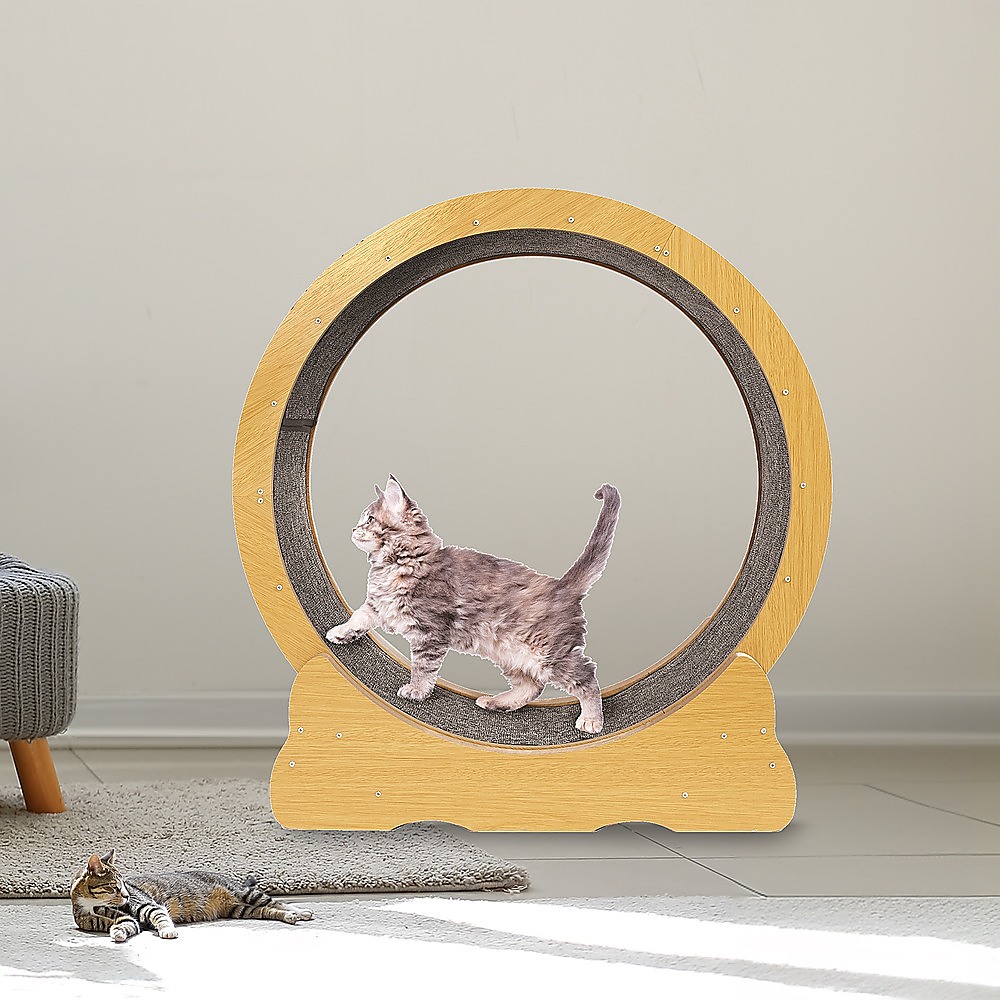 Cat Running Wheel w/ Carpet Runway Cat Exercise Wheel for Fitness Cat Treadmill โ image 2