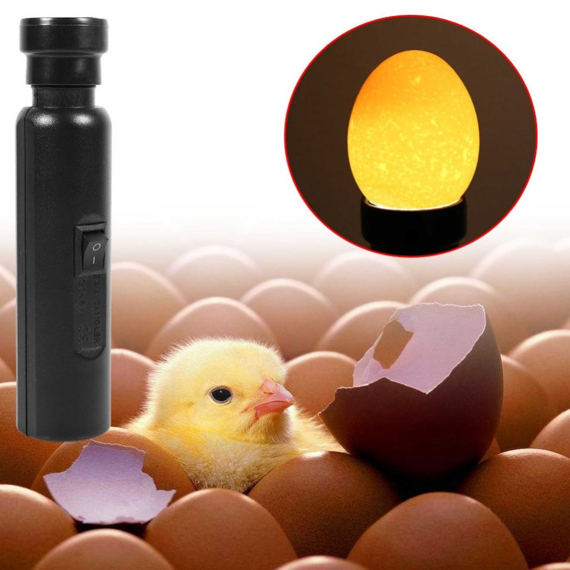 AU Plug Egg Candler Lamp - LED Cool Light Chicken Duck Quail Hatching Incubator — image 6