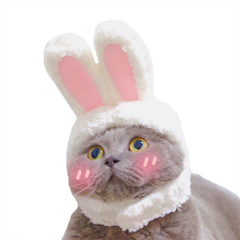 Odd Pet Cat Rabbit Ears Hat White Cloth White Rabbit Hat free size M โ image 4