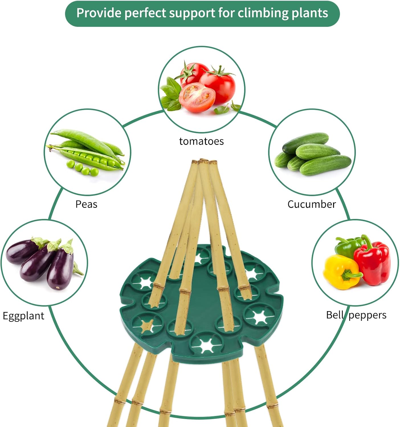 6 Pcs Bamboo Cane Holder Plastic Plant Cane Support Caps Holders for Climbing Plants Sweet Peas Beans Green — image 3