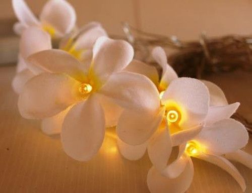 1 Set of 20 LED White Frangipani Flower Battery String Lights Christmas Gift Home Wedding Beach Party Decoration Outdoor Table Centrepiece โ image 5