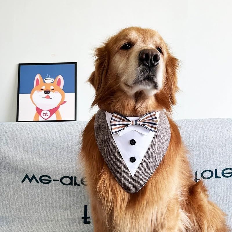 Dog Wedding Bandana Collar with Bow Tie, Adjustable Dog Tux Formal Dog Costumes for Medium Large Dogs Brown — image 3