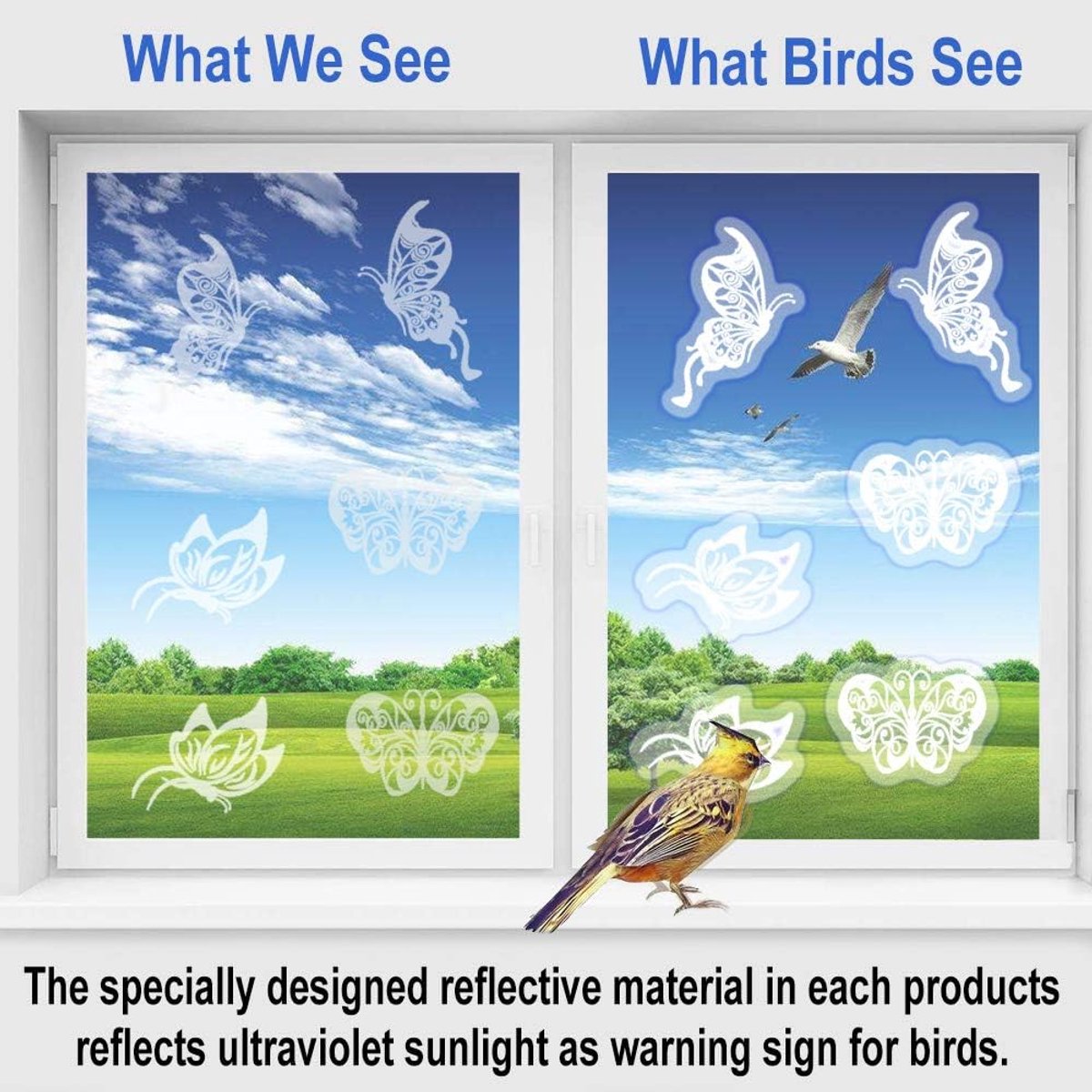 36 pieces - Anti-Collision Stickers - butterfly stickers - with anti-collision warning - transparent window stickers - prevention of collisions with people and — image 4