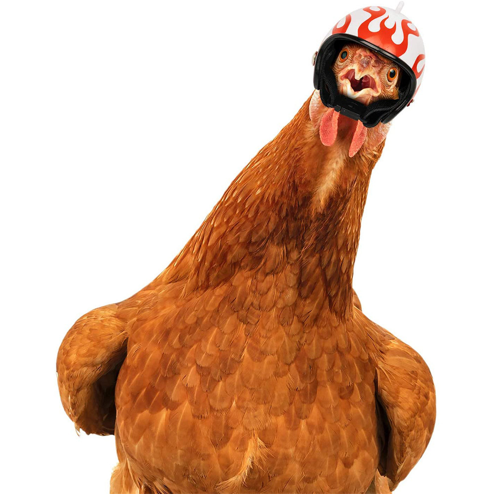 Pink Pet Chicken Helmet Set of 3 – Protective Headgear for Chicks, Hens, and Birds — image 2