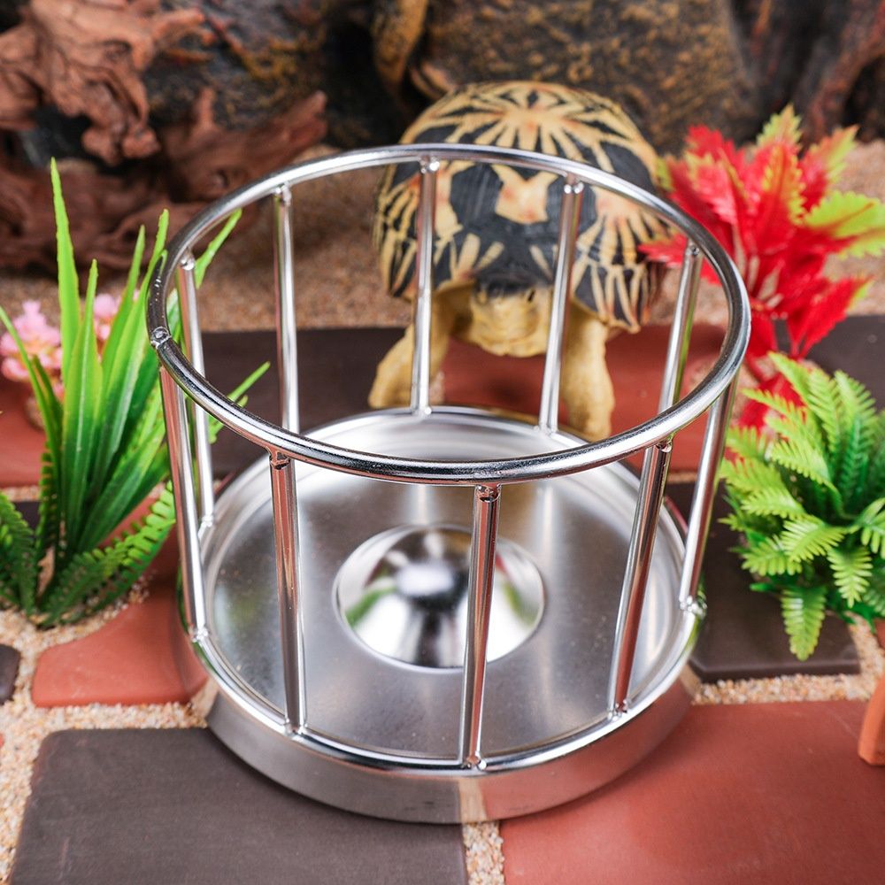 Tortoise Feeding Dish Reptile Water Dish Food Bowl Stainless Steel Feeder for Tortoises Lizards Turtles Chameleon (S) — image 3