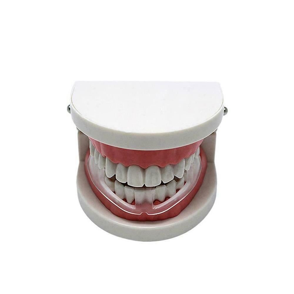 2pcs Anti Snore Mouth Guard Sleep Mouthguard Teeth Grinding Guard Dental Clenching Protector โ image 6