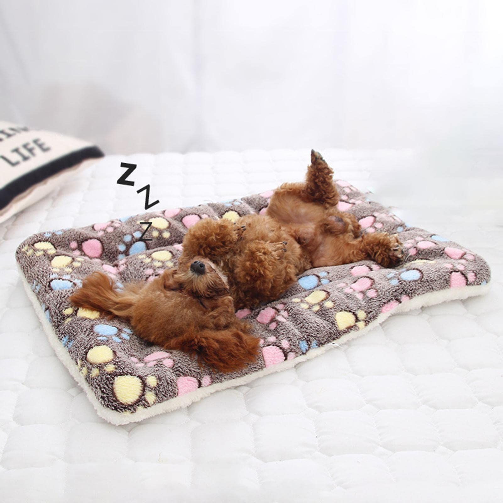 Cat Blanket, Ultra Soft Flannel, 12.59x9.84in, Suitable for Small Breeds long fibers are soft, durable and machine washable — image 5