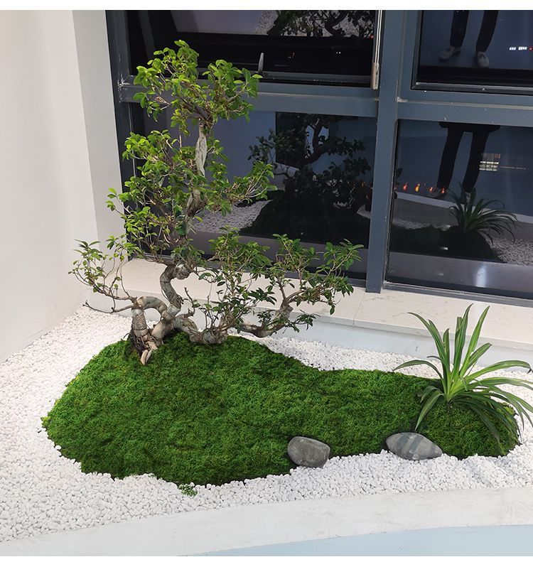 30g Dark Green Artificial Moss-2Pcs — image 6