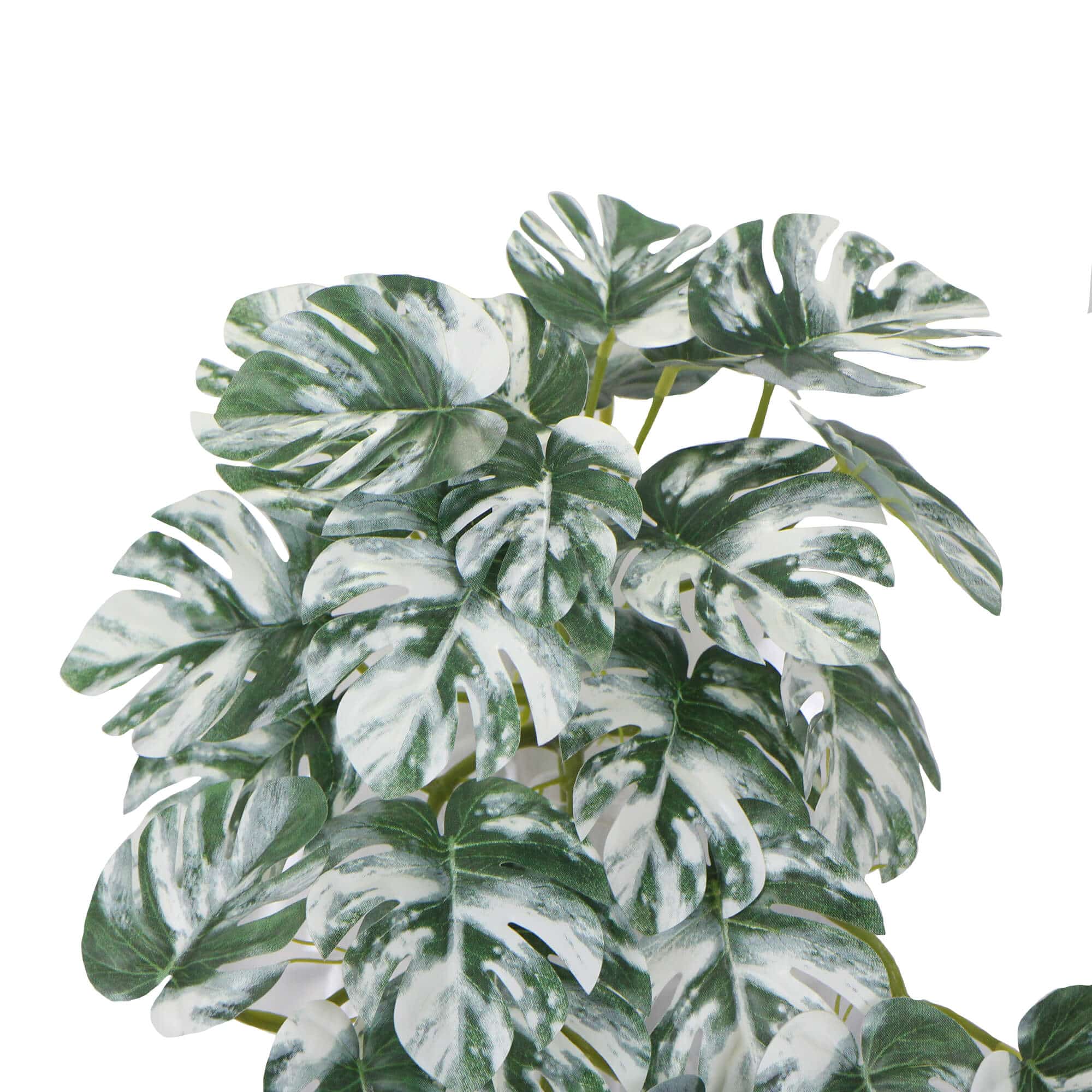 Artificial White & Green Monstera Albo Variegata 45cm — image 3