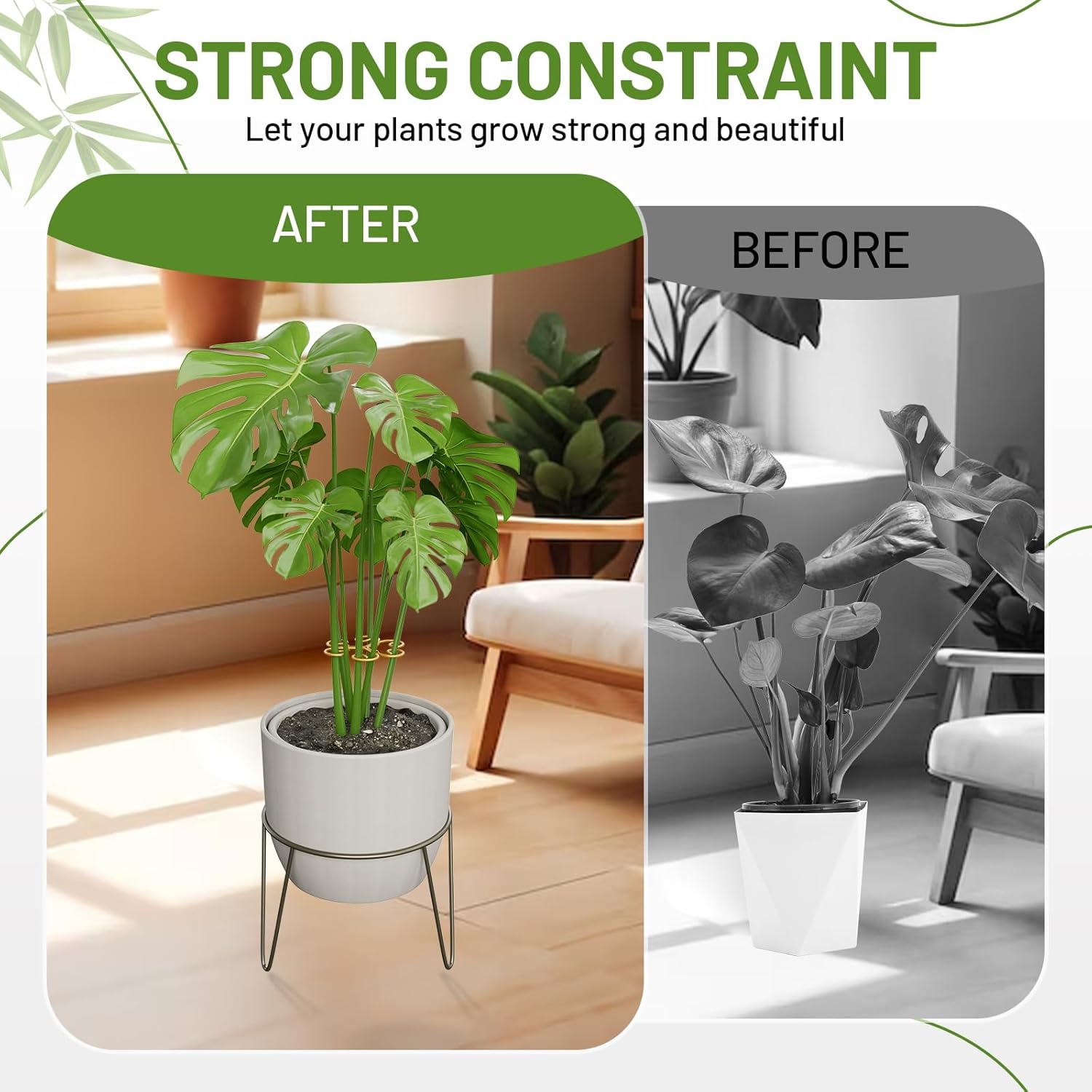 10.5cm x 10.5cm Gold Plant Stem Supports 4 Pack - Indoor Plant Stakes for Tall Plants, Monstera - Plant Anchoring Hooks for Indoor Gardens — image 3