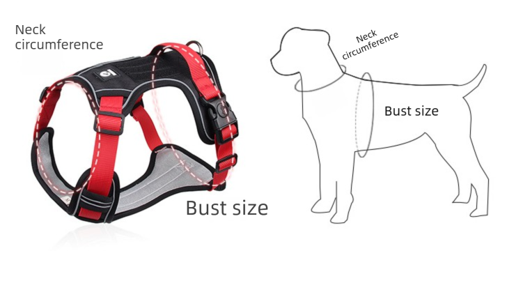 Blue M Adjustable No-Pull Dog Harness and Leash Set - Reflective & Padded Vest for Medium to Large Dogs โ image 3