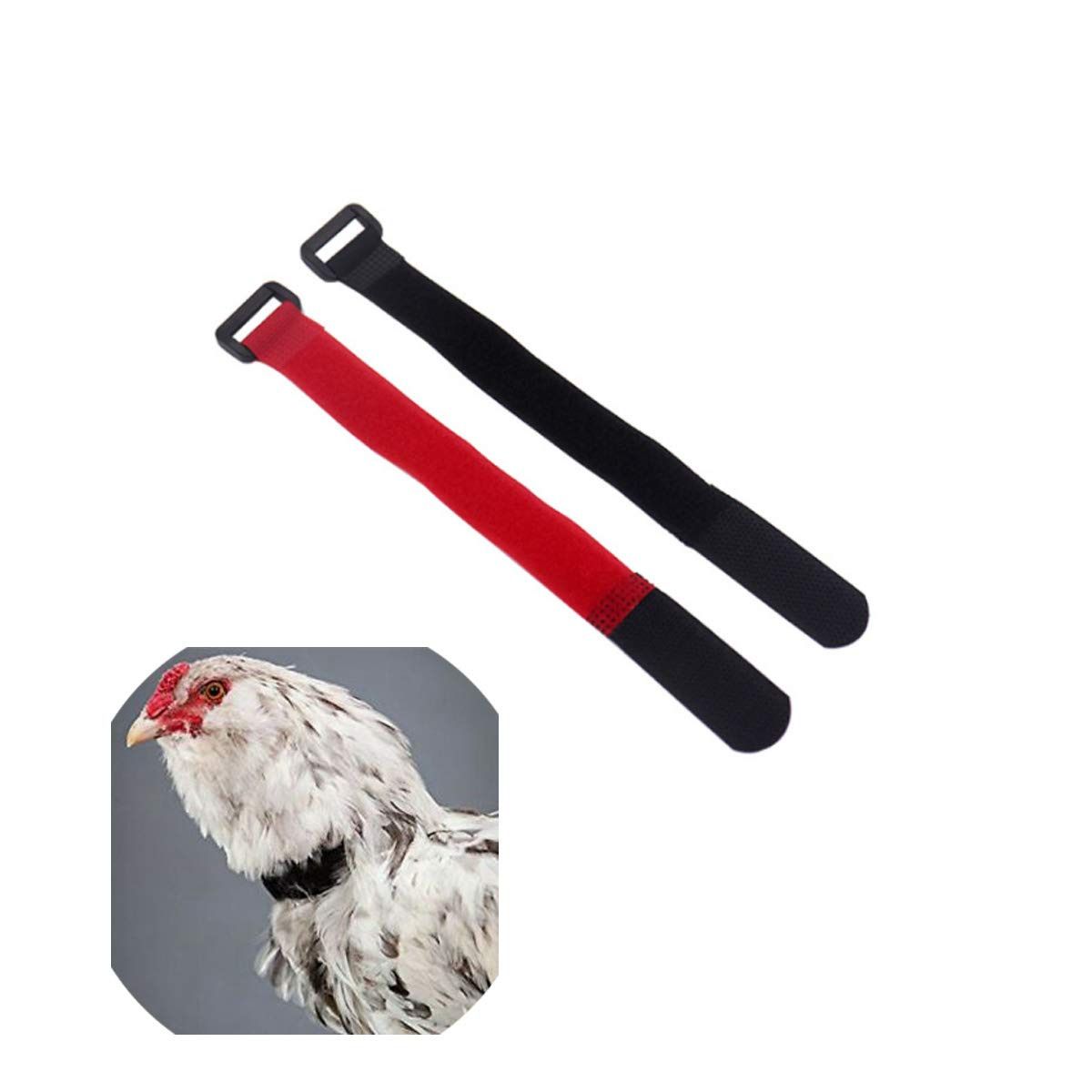 4Pcs Red Crow Rooster Collar, Collar Rooster CollarNo Crow Noise Neck Belt for Roosters Collars, Harnesses and Leashes — image 2