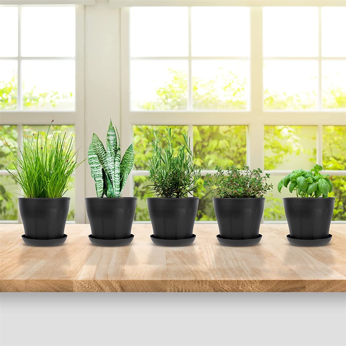 Pots for Plants, 8 Pack 4.8 inch Plastic Planters with Multiple Drainage Holes and Trays - Plant Pots for All Home Garden Flowers Succulents (White) โ image 4