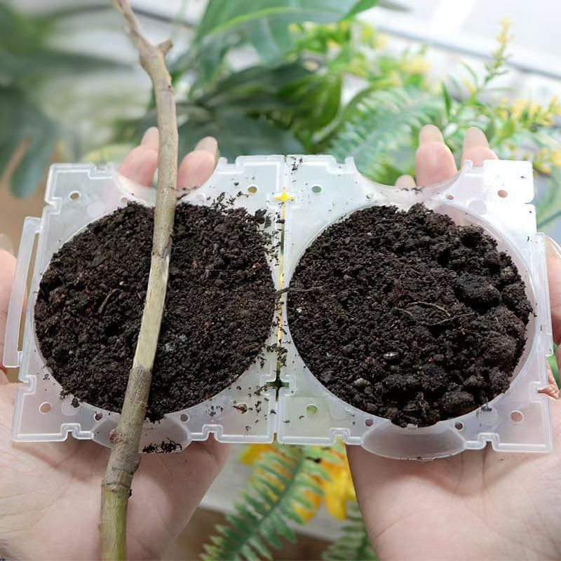 5Pcs Plant Root Growing Box Propagation Ball Reusable Grafting Device Garden Plant Rooting Ball incubator Tree Grafting Rooting Device Plant Fast Growth Air — image 3