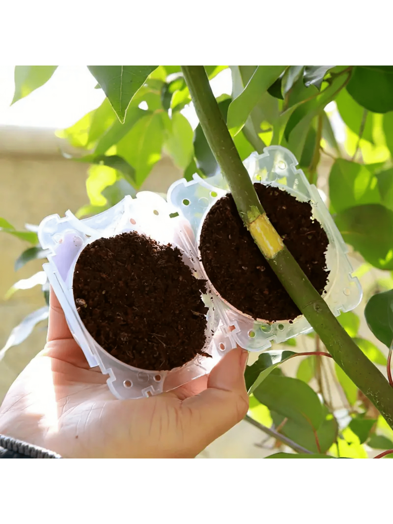 5Pcs Plant Root Growing Box Propagation Ball Reusable Grafting Device Garden Plant Rooting Ball incubator Tree Grafting Rooting Device Plant Fast Growth Air