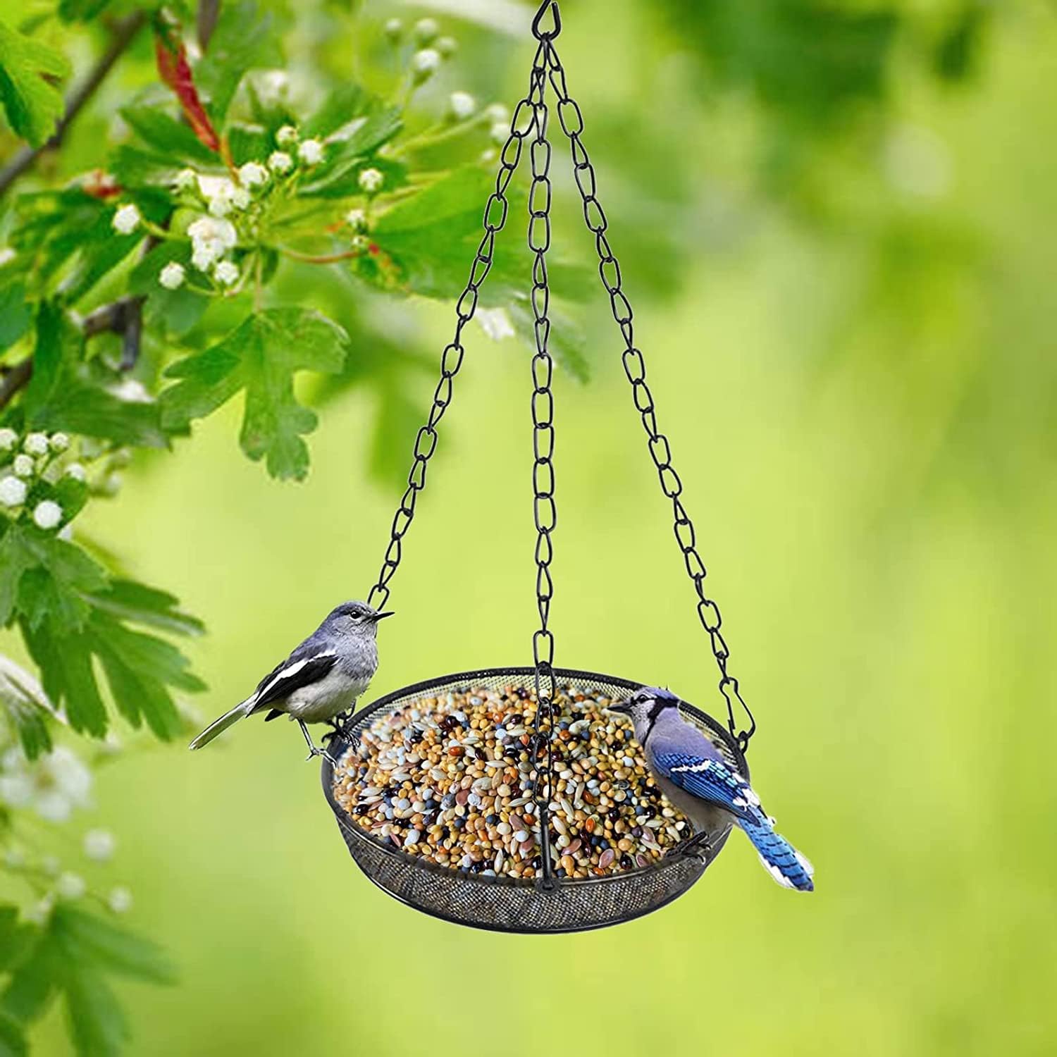 Hanging Bird Feeder, Birdfeeder Hanging for Garden Yard Outside Hanging Bird Feeder Tray - Metal Mesh Platform Feeders for Birds Outside Outdoors Hanging for โ image 4