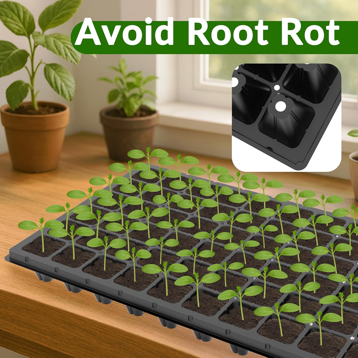 10 Pack 72 Cell Seed Starter Trays, 1.75" Deep Plug Tray for Seedlings, Thick Seedling Trays with Drainage Holes, Fit Standard 1020 Drip Tray โ image 5