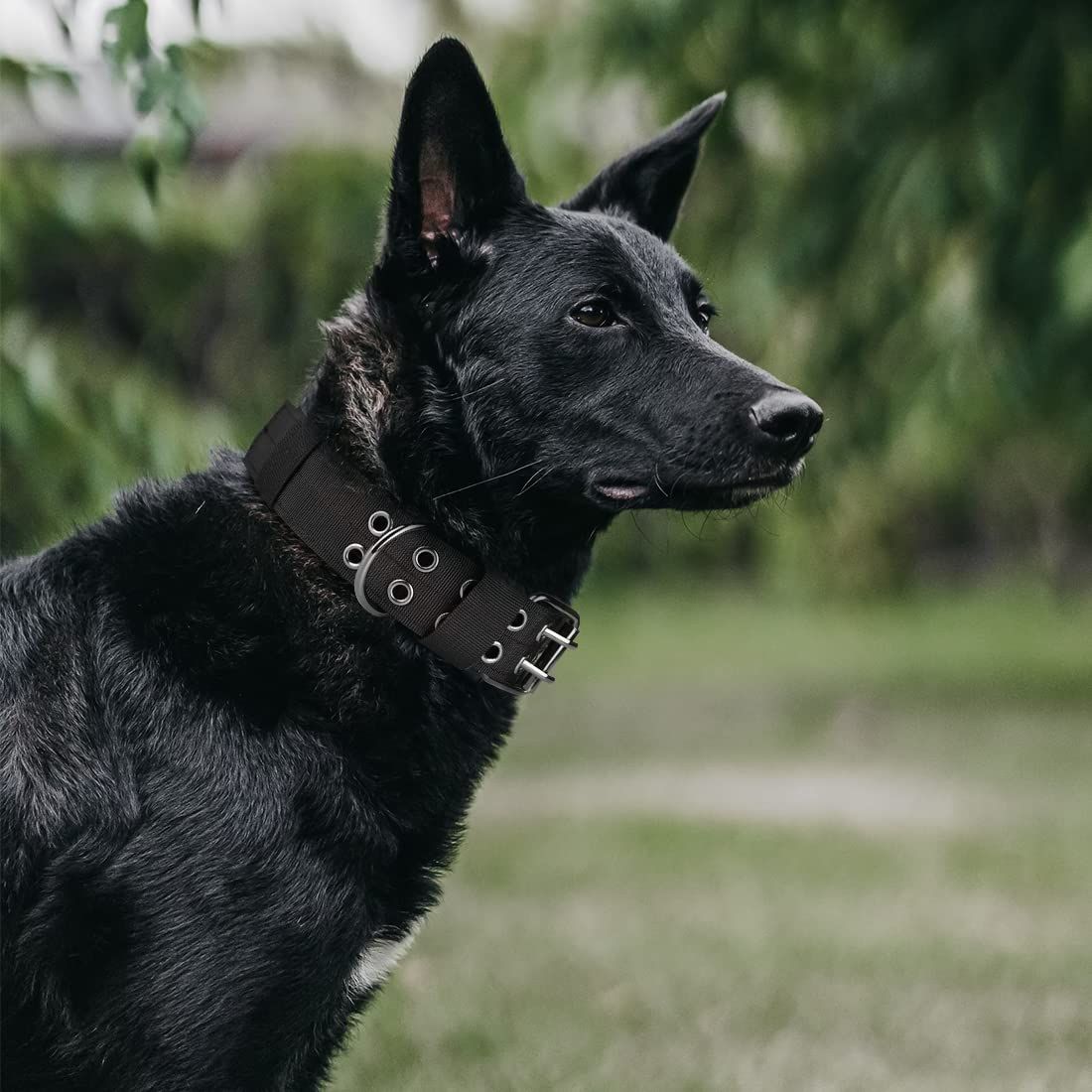 Heavy Duty Tactical Dog Collar 1.5" Width Military Nylon Dog Collar with Adjustable Metal D Ring & Thick Lining (Black, Large) — image 2