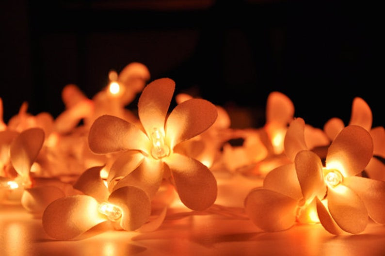 1 Set of 20 LED Orange Frangipani Flower Battery String Lights Christmas Gift Home Wedding Party Decoration Outdoor Table Garland Wreath โ image 2