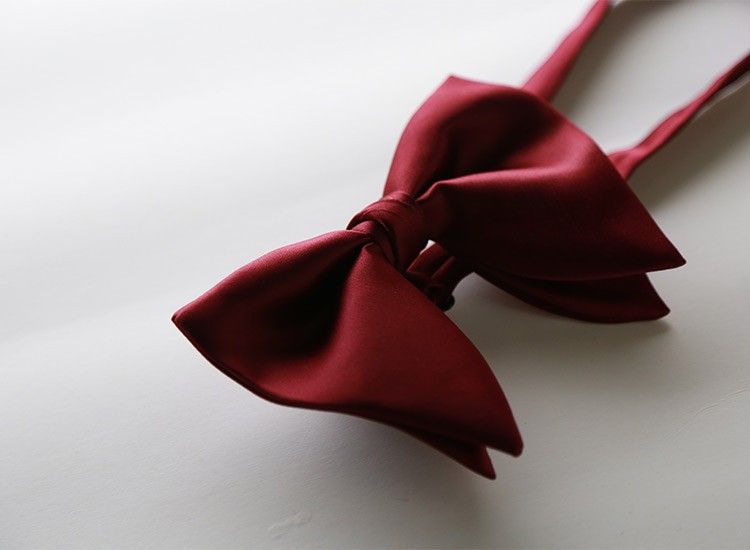 Men Bow Tie Solid Color Black Polyester โ image 2
