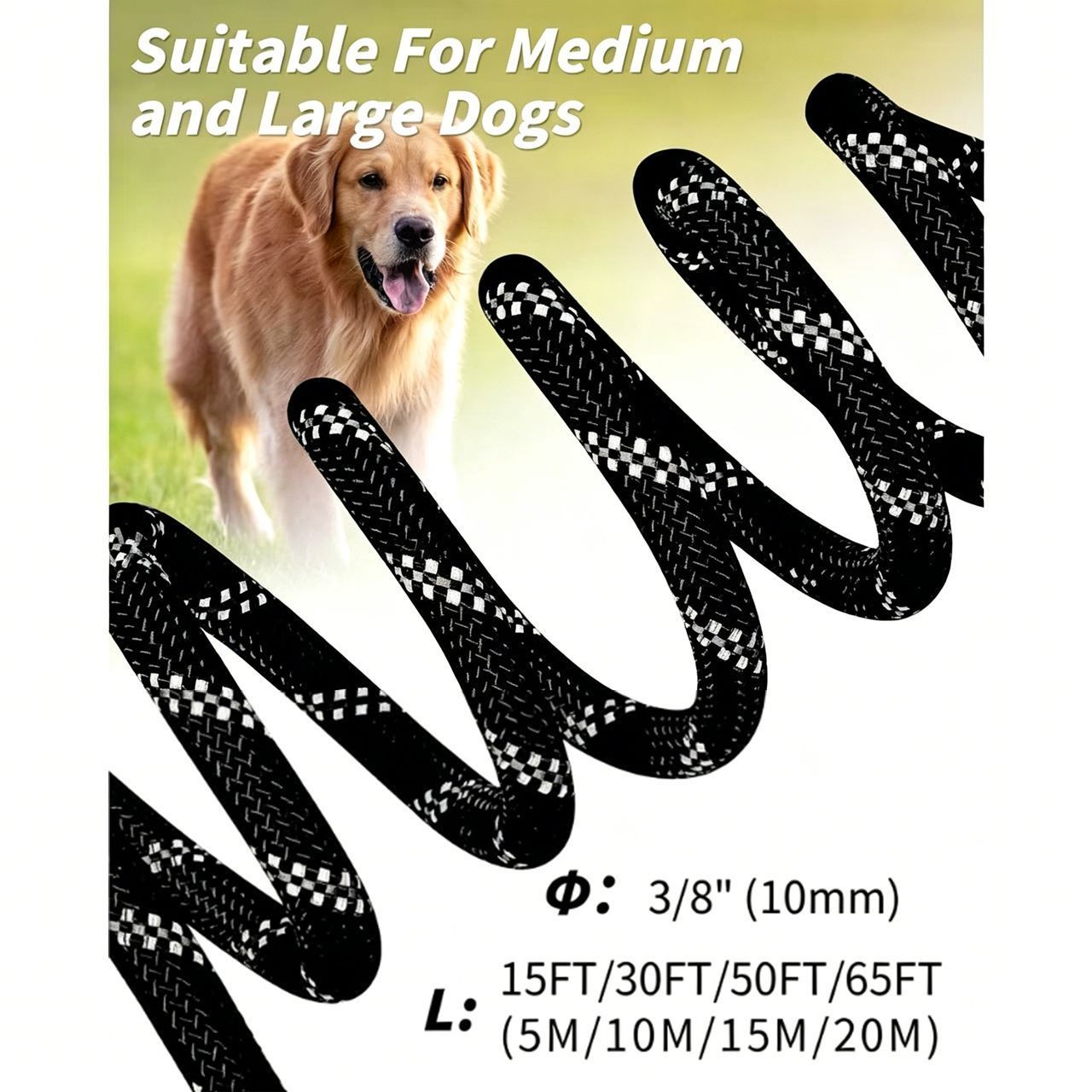 Large Dog Leash Orange 03 — image 2