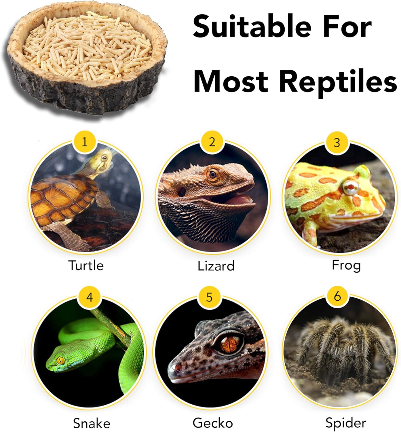 2 Pack Reptile Water and Food Bowls, Novelty Food Bowl for Lizards, Young Bearded Dragons, Small Snakes and More - Made from BPA-Free Plastic โ image 4