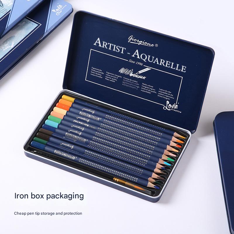 Giorgione Artist Watercolour Pencils 36-Color Set - Premium Water Soluble Colored Pencils for Art & Drawing with Tin Case โ image 2