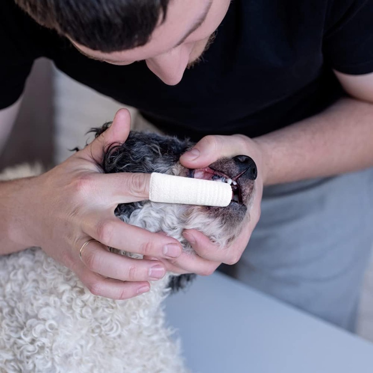 Dog Toothbrush - 10 Pieces - Reusable Finger Toothbrush - Animal Toothbrush - Dog Care - Dogs — image 5