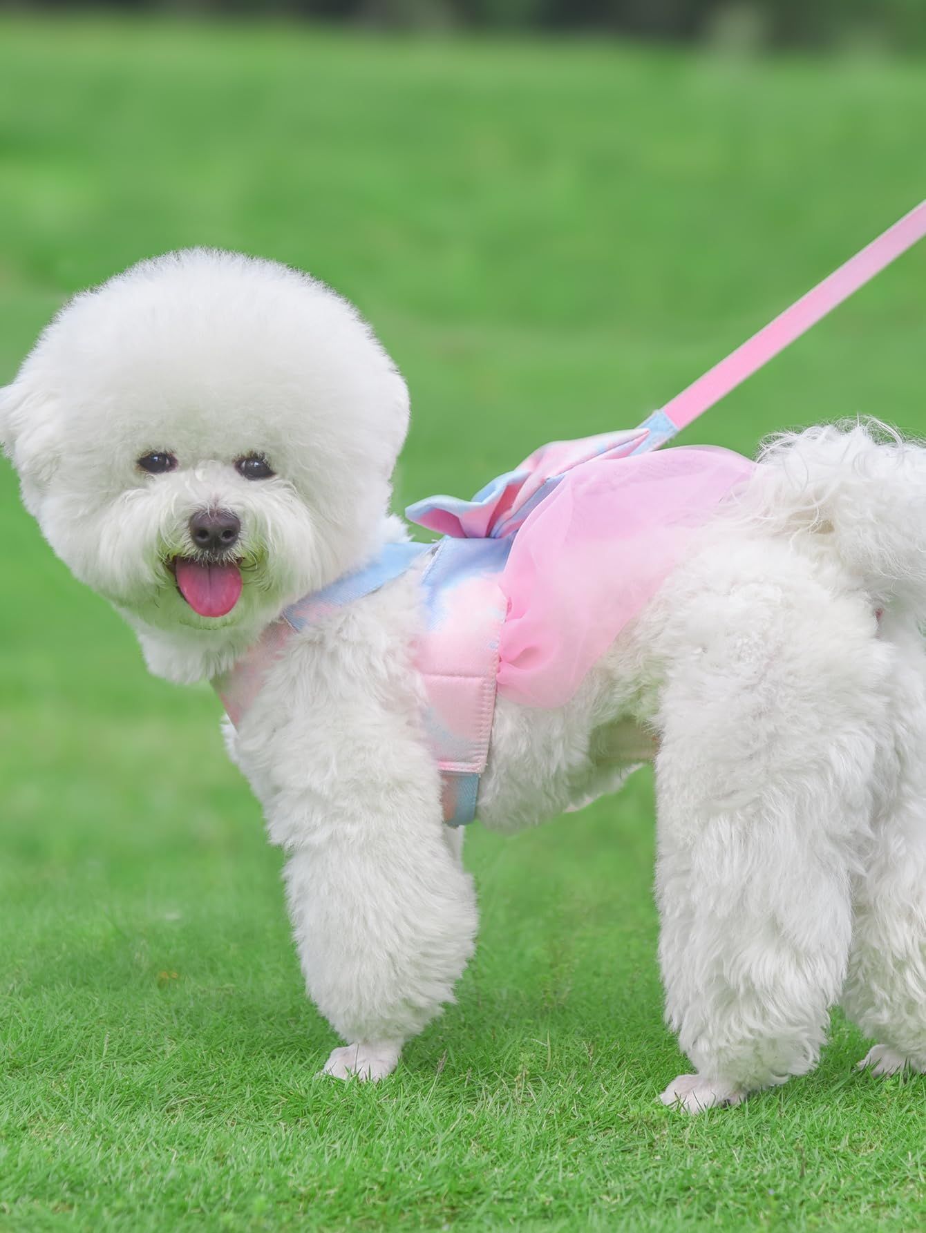 Tie-dye Dog Harness and Leash Set Bow Decor Puppy Cat Harness with Leash Soft No-Pull No Choke Mesh Harness Dress Set Pink L — image 2