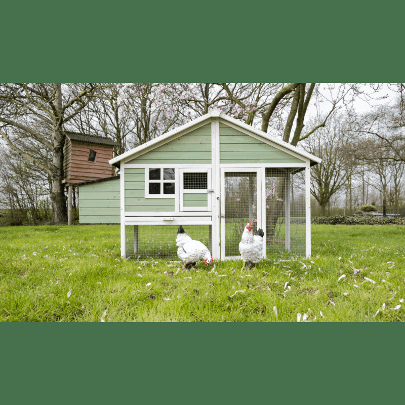 YES4PETS Green Large Chicken Coop Rabbit Hutch Ferret Cat Cage Hen Chook Cat Kitten House — image 3