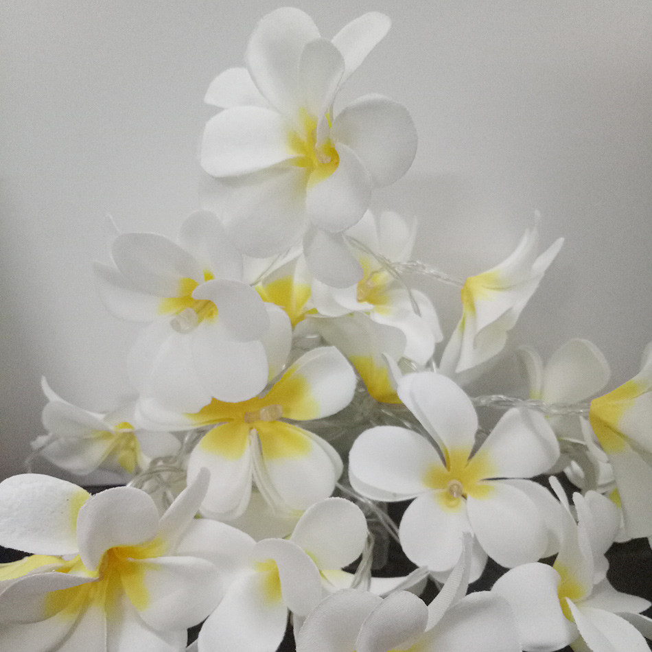 1 Set of 20 LED White Frangipani Flower Battery String Lights Christmas Gift Home Wedding Beach Party Decoration Outdoor Table Centrepiece โ image 6