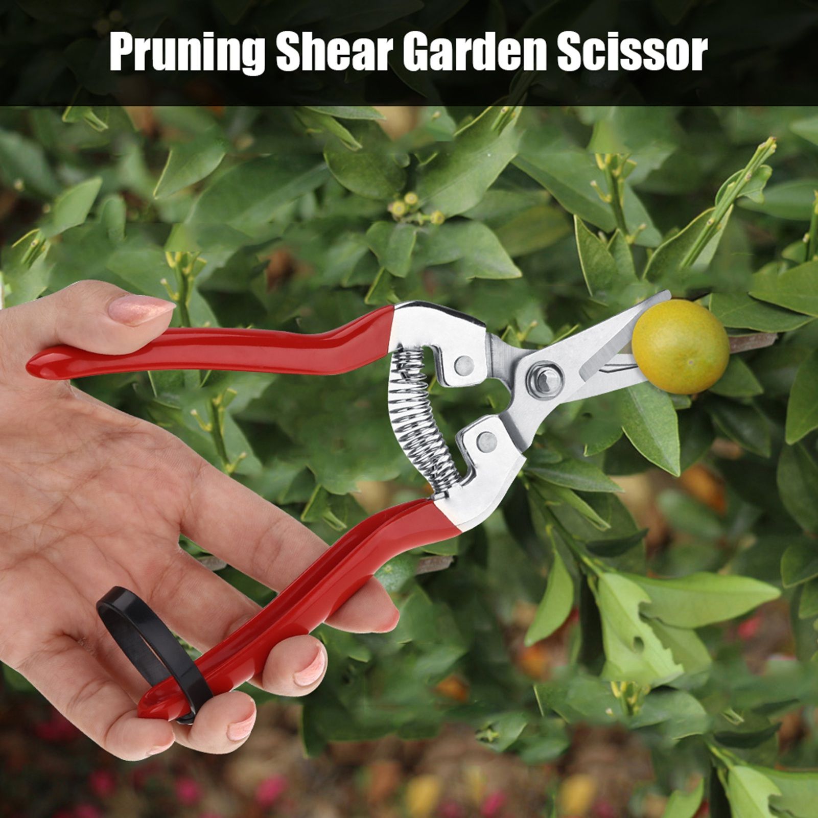 1Pc Sturdy Fruit Tree Bonsai Gardening Pruning Shear Garden Scissors Pruner Tool Curved Blade โ image 3