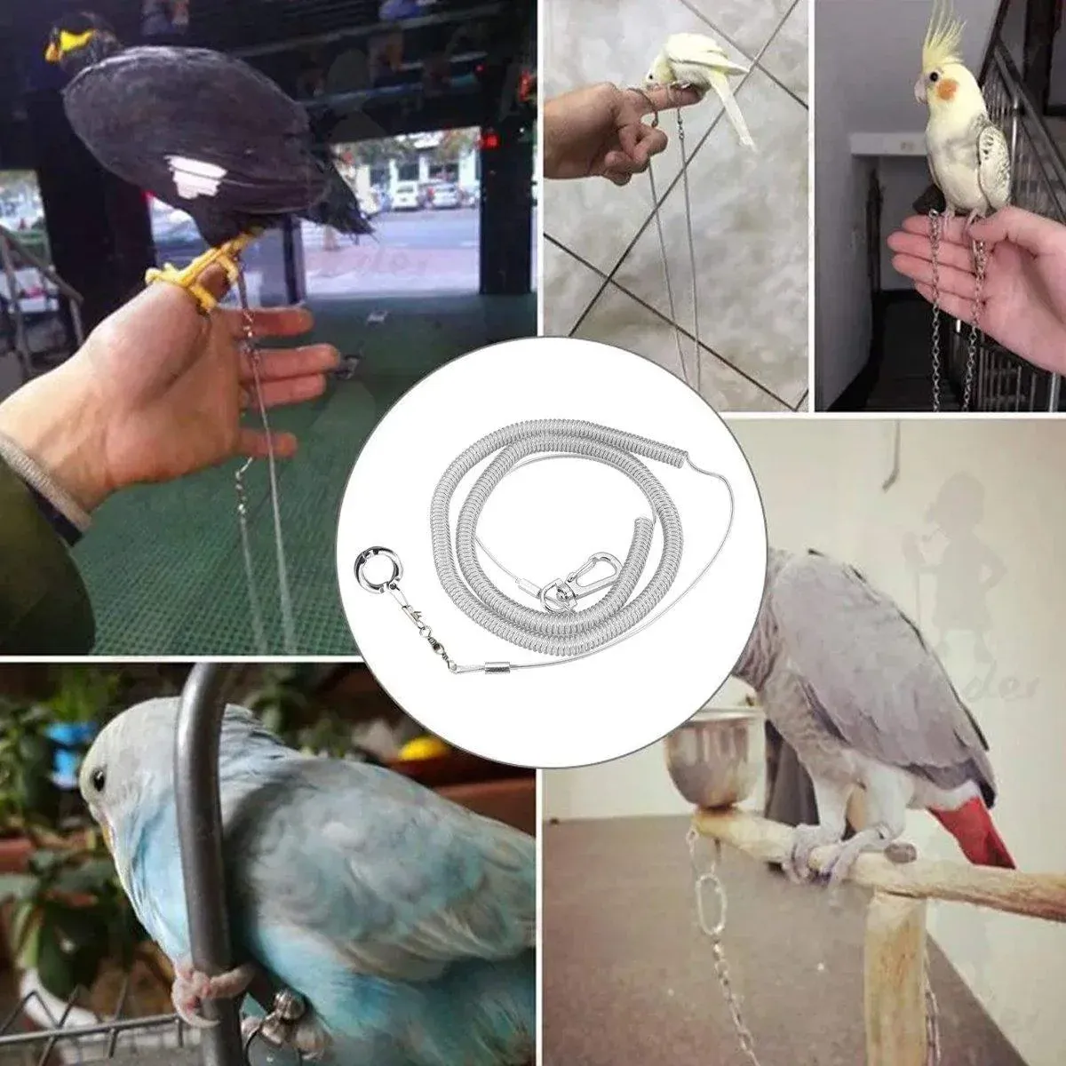 Parrot Leg Ring Anti Slip Bird Anklet Elastic Rope with Alloy Fasteners Supplies - 6mm โ image 4
