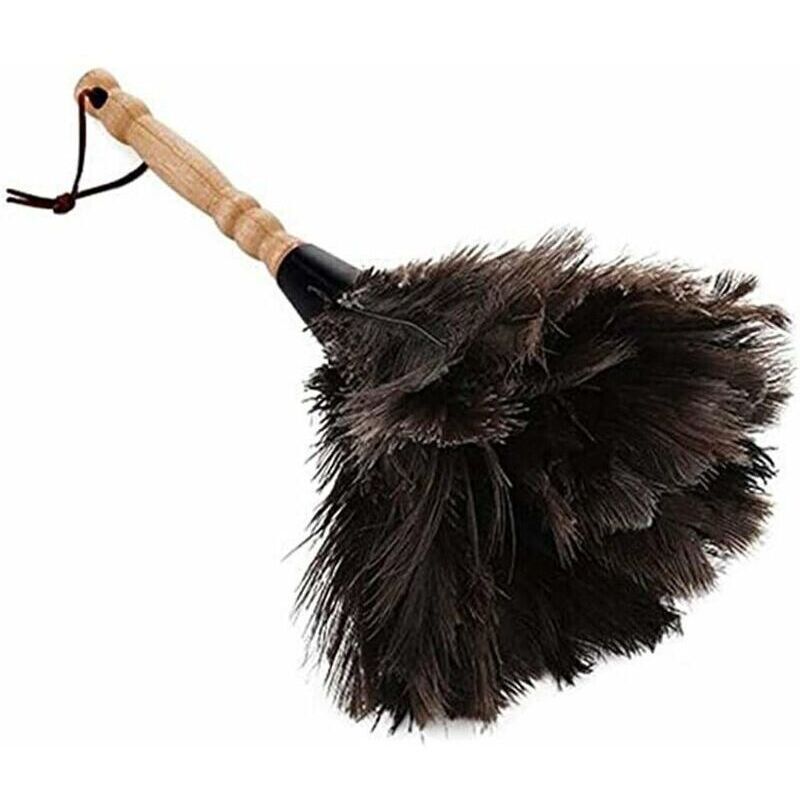 Feather Dusters for Home and Office