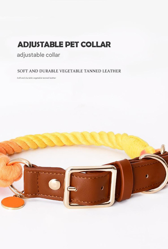 Premium Leather Pet Collar and Leash - Soft, Strong Braided Rope (Pink Purple - Size S) โ image 2