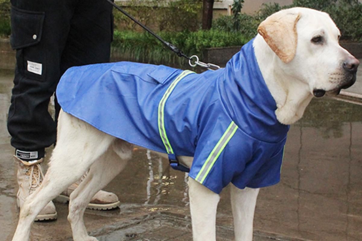 Pet Raincoat Outdoor Waterproof Dog Poncho for Small and Medium Dogs - Blue โ image 3