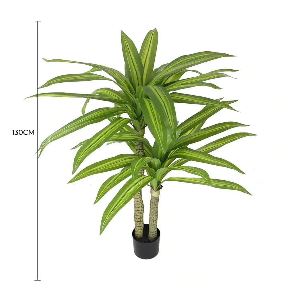 Artificial Multi Head Dracaena Tree with Mixed Green Leaves (Real Touch) 130cm — image 2